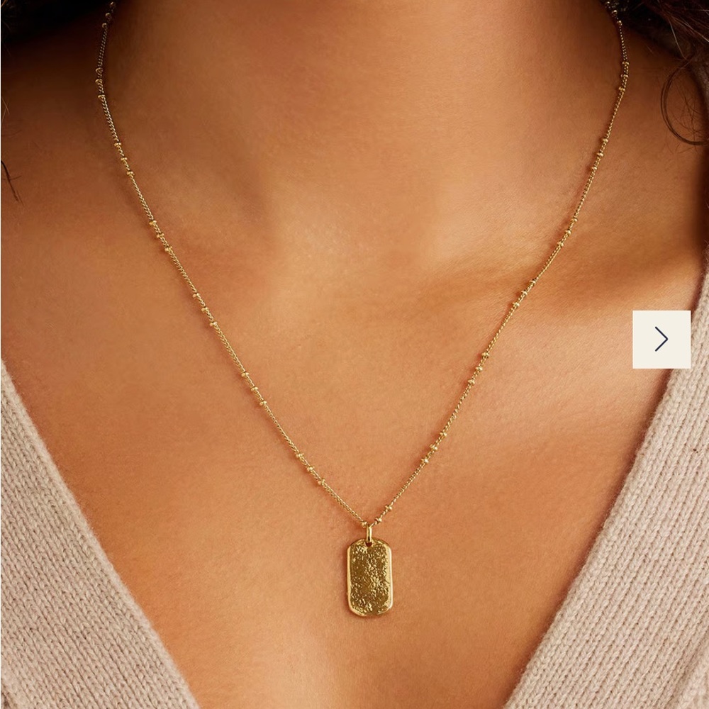 Gorjana Griffin Dog Tag Necklace